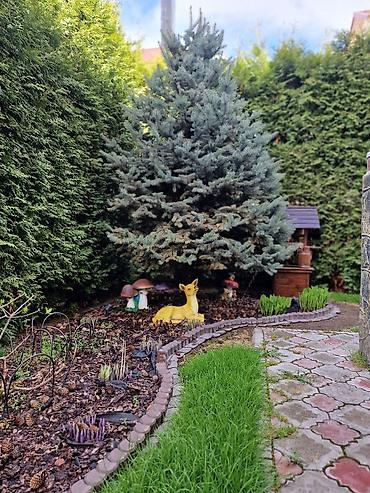 Продажа коттеджей и домов: 5 комнат, 200 м², 3 соток, Чолпон-Ата, Собственник — 18