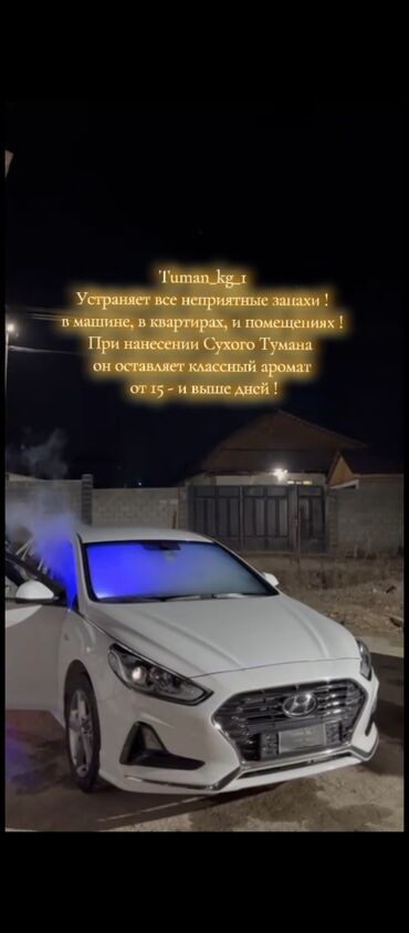 Другие автоуслуги: Сухой туман устраняет все неприятные запахи как (табак, гарь, все