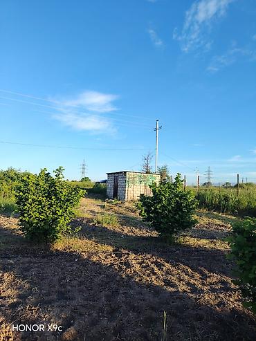 Torpaq sahələrinin satışı: Kənd təsərrüfatı -da lalafo.az — 11 Torpaq sahələrinin satışı: Kənd təsərrüfatı — 11