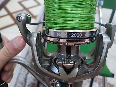 green hıll: Ünvan bine savxoz Kaid spilnik Uzunluq 3.90 4lb Üzerinde 12 minlik — 5