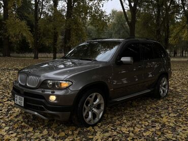 195 65 15 с: BMW X5: 2004 г., 4.4 л, Автомат, Бензин