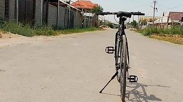 single speed: Шоссейный велосипед, Рама L (172 - 185 см), Новый — 4