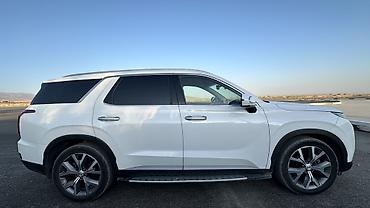 range river: Hyundai Palisade: 2021 г., 2.2 л, Автомат, Дизель, Кроссовер — 9