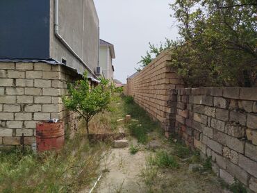 Bağ evlərinin satışı: Digah, 144 kv. m, 4 otaqlı, Hovuzsuz, Kombi, Qaz, İşıq — 7