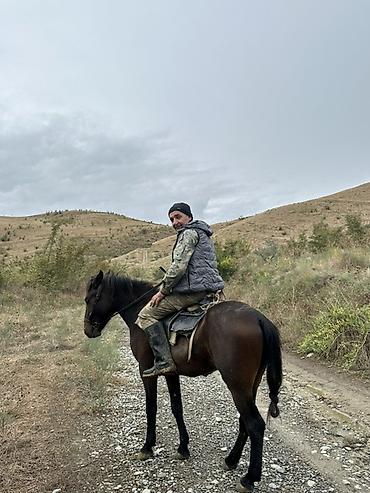 at aliram: Erkək, il: 2 — 1