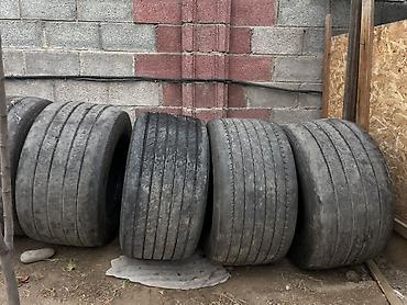 Шины: Шины для грузовых - Размер: 385/65 R22.5, - 445/45 R19.5 Подходят — 5