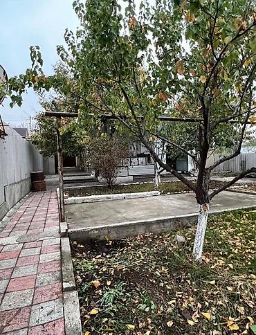 Продажа коттеджей и домов: 🏡 Дом с евроремонтом, одноэтажный 🆔 ID: 3392 Адрес: с.Таш-Добо — 17