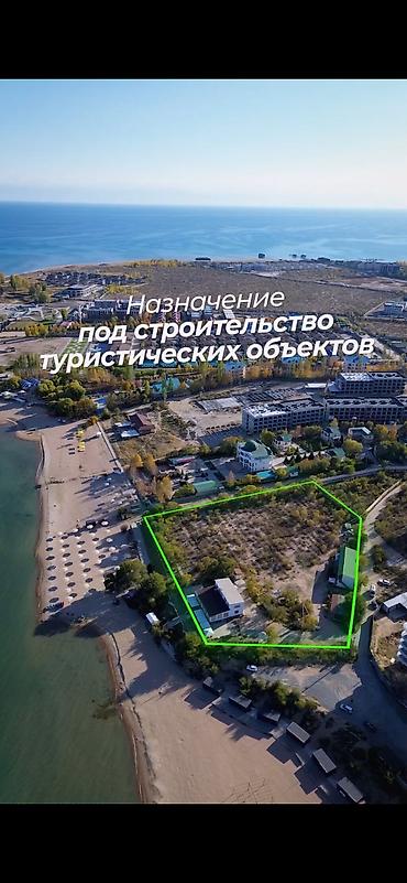 чолп: 83 соток, Бизнес үчүн, Кызыл китеп — 8