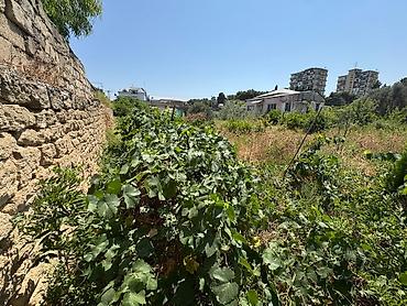 Torpaq sahələrinin satışı: Tikinti — 1