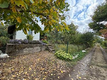 Продажа участков: 5 соток, Для сельского хозяйства — 12