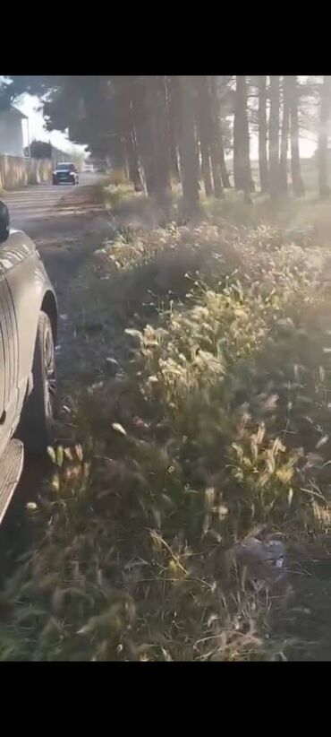 Torpaq sahələrinin satışı: 14 sot, Kənd təsərrüfatı, Mülkiyyətçi, Bələdiyyə — 12