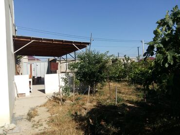 Bağ evlərinin satışı: Bakı, Saray, 110 kv. m, 4 otaqlı, Hovuzsuz, Kombi, Qaz, İşıq
