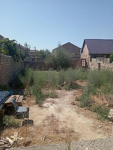 torpax: 2 sot, Mülkiyyətçi, Kupça (Çıxarış) — 9