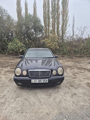 panarama arxa stop: Mercedes-Benz 230: 2.3 l | 1996 il Sedan — 1