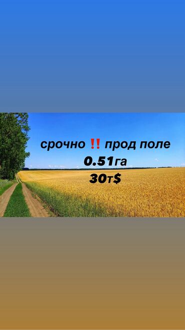 продаю гостиничный дом тип бишкеке: 51 соток, Иштеп жаткан, Жабдууларсыз, Электр энергиясы, Канализация, Муздак суу
