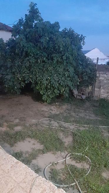 bileceri heyet evi: Həyətyanı ev – geniş həyət və yaşayış sahəsi - Planlaşdırma: zal — 9