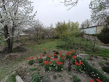 Продажа коттеджей и домов: Продается частный дом в районе аламединского рынка с участком 11 — 20