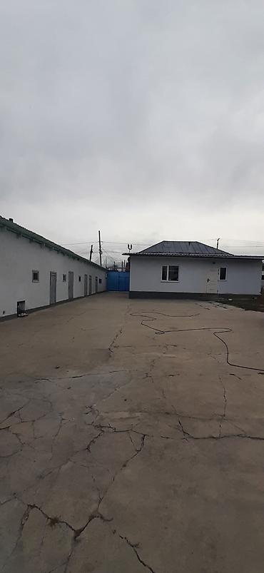 Посуточная аренда домов: Аренда дома на 8 человек. Планировка: 3 комнаты и отдельная кухня. - — 13