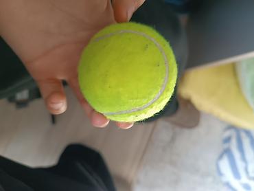 одежда для мма: Теннисный мяч Tecnifibre CLUB - Тип: мяч для большого тенниса - — 1