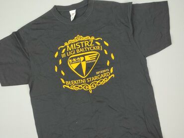 T-shirts: T-shirt for men, L (EU 40), condition - Perfect