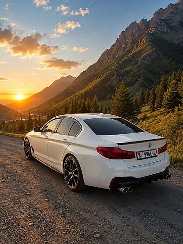машина bwm: BMW 5 series: 2019 г., 2 л, Автомат, Бензин, Седан — 4