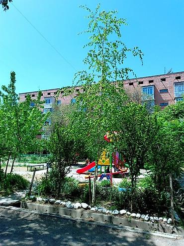 квартира 4ком: 2 комнаты, 50 м², 105 серия, 4 этаж, Евроремонт — 7
