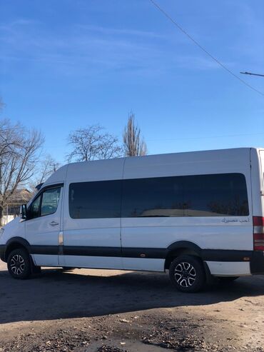 Mercedes-Benz: Mercedes-Benz Sprinter: 2009 г., 3.2 л, Автомат, Дизель, Бус