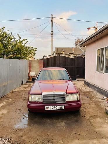 Mercedes-Benz: Mercedes-Benz W124: 1993 г., 2.9 л, Механика, Дизель, Седан — 3