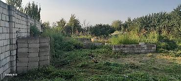 xırdalan torpaq satışı: 6 sot, Tikinti, Mülkiyyətçi, Kupça (Çıxarış) — 1