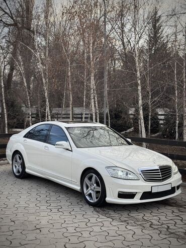американская короткошёрстная кошка купить: Mercedes-Benz S-Class: 2009 г., 5.5 л, Автомат, Бензин, Седан