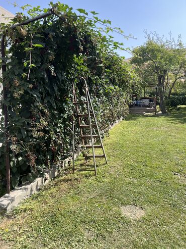 Продажа домов: Дача, 10 м², 6 комнат, Собственник, Старый ремонт — 5