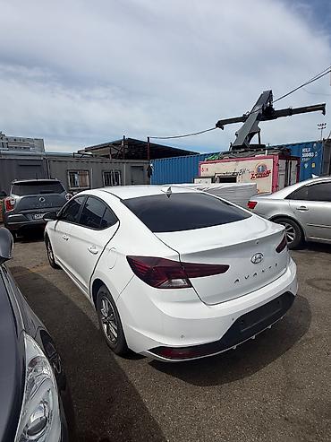 avante 7: Hyundai Avante: 2020 г., 1.6 л, Автомат, Бензин, Седан — 2