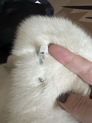 Шубы: Шуба, Норка, По колено, Италия, M — 9