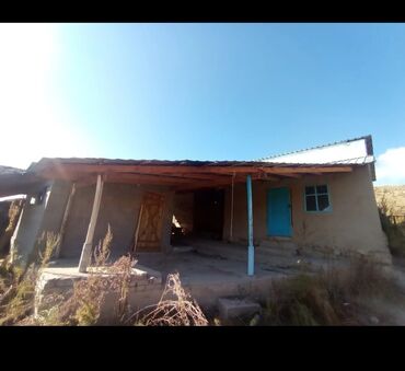 Другие товары для дома и сада: Продается действующий бизнес кашар вместе с садом для разведения скота — 11