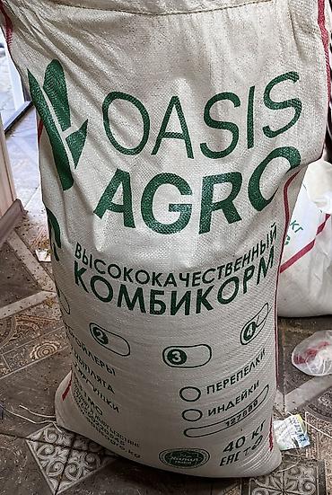 Бройлер: Продаем домашних бройлеров — выращены на натуральных кормах с особым — 3