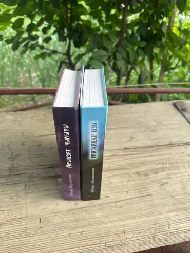 Художественная литература: Классика, На русском языке — 10