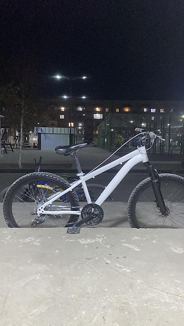 gray fixed gear: Горный велосипед 24" - Рама: метвл геометрия с заниженной верхней — 1