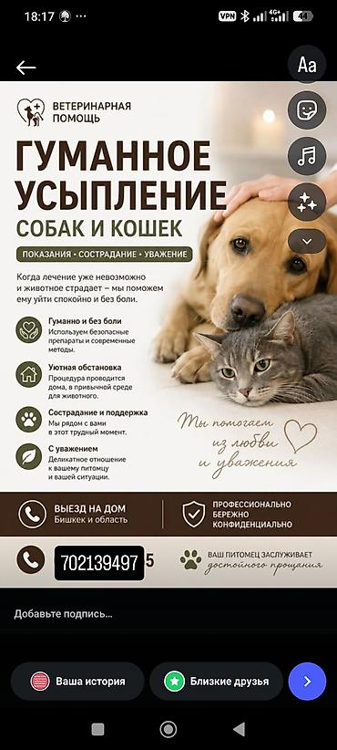 як собака: Гуманное усыпление собак и кошек на дому Ветеринарная помощь для — 1