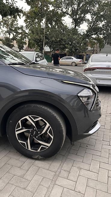 sprinter rex: Kia Sportage: 2021 г., 2 л, Дизель, Кроссовер — 3