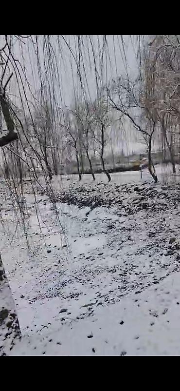 Bağ evlərinin satışı: Qəbələ, 16000 kv. m, 3 otaqlı, Hovuzsuz, İnternet — 7