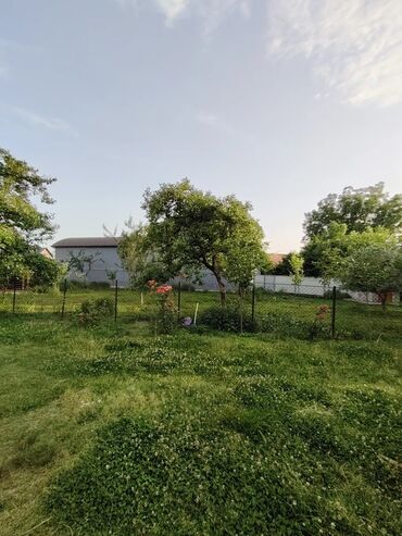 Bağ evlərinin satışı: Zaqatala, 110 kv. m, 4 otaqlı, Hovuzsuz, Artezian quyusu -da lalafo.az — 5 Bağ evlərinin satışı: Zaqatala, 110 kv. m, 4 otaqlı, Hovuzsuz, Artezian quyusu — 5