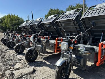 Мотороллеры муравей: Мотороллер муравей Электро, 70 км, 1500 кг и более, Новый, В рассрочку — 7