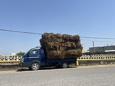 Беде сатылат Учкоргон келишим бада