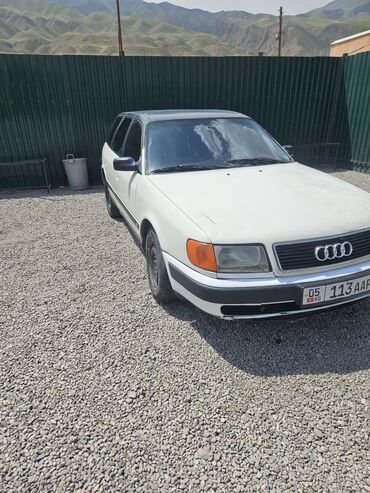 Audi: Audi 100: 1992 г., 2.8 л, Механика, Бензин, Универсал