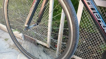 trinx велосипеды: Продаю велик шоссейный рама алюминиевый всё в идеале торг есть город