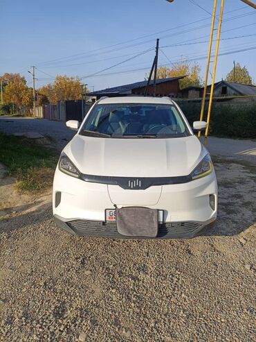 спринтер дубл кабина бортовой борт 3 30 м: JMEV : 2020 г., Электромобиль, Кроссовер