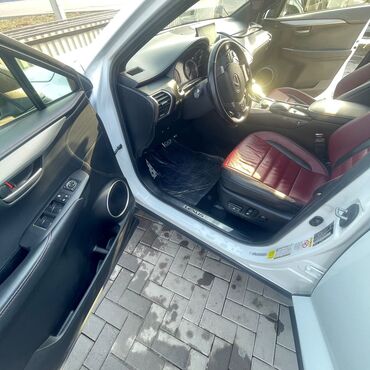 Lexus: Lexus NX: 2017 г., Кроссовер — 8