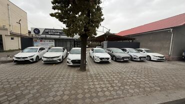 продаю дом авто рынок: Автосалон с подбором и продажей автомобилей, а также возможностью