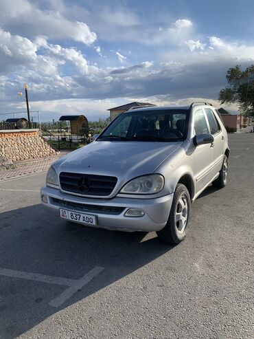 Mercedes-Benz: Mercedes-Benz ML 270: 2003 г., 2.7 л, Механика, Дизель