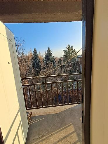 земельный дом: 250 м², 5 комнат — 8
